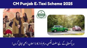 CM Punjab E-Taxi Scheme 2025: November Update & Current Phase
