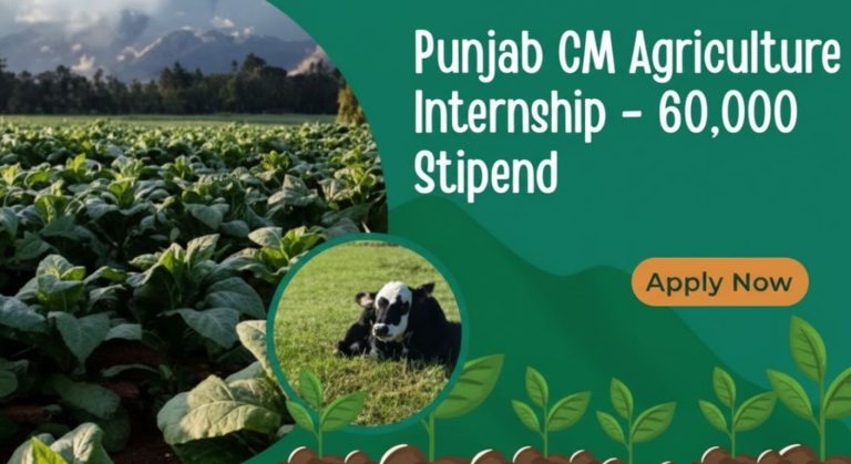 Punjab CM Agriculture Internship 2025 – 2nd Phase Starts with Rs. 60,000 Stipend