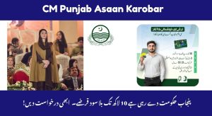 CM Punjab Asaan Karobar Card 2025 – Interest-Free Loans for…