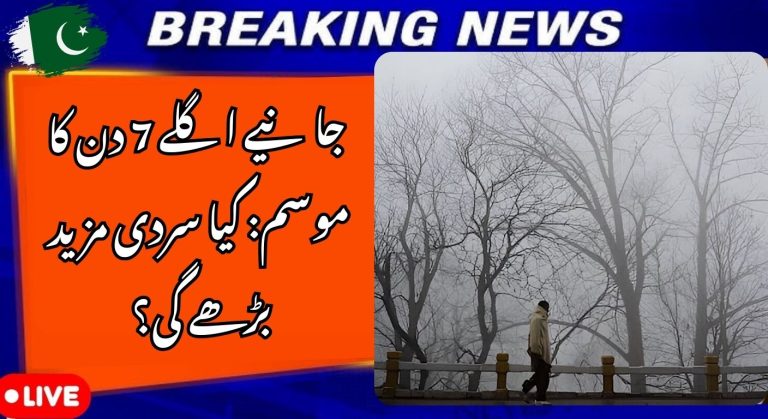 Severe Cold Waves and Dense Fog to Disrupt Daily Life, Weather Expected to Improve Later: 7-Day Weather Forecast for Pakistan | January 2026